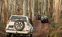Convoy heads to Tomohawk Hut